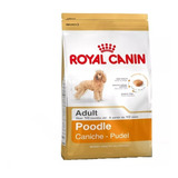 Royal Canin Poodle Adulto 3 Kg Kangoo Pet 