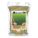 Semilla De Pasto Ingles Ryegrass 1 Kilo Rinde 30 Mts2