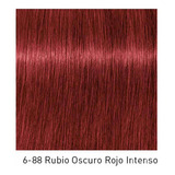  Igora Royal Coloración Profesional Tono 6-88 Rubio Oscuro Rojo Intenso