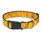 Buckle-down Dog Collar Plastic Clip Mac Cheese Vivid Availab