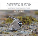 Shorebirds In Action : An Introduction To Waders And Their B