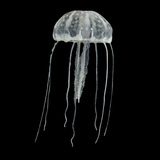 Enfeite Aquario  Água-viva  Soma Jellyfish Big Branca