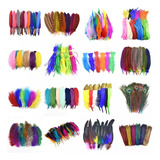 Plumas De Colores 100 Unidades, Distintos Tipos A Escoger