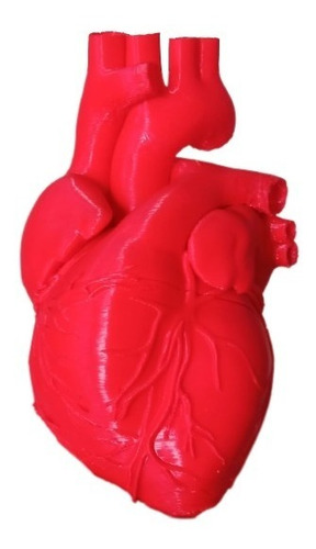 Corazón Anatomia Impresion 3d Tamaño Real