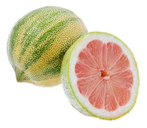 Limon Rosa  Citrus X Limon Eureka Var. Variegata Con Envio