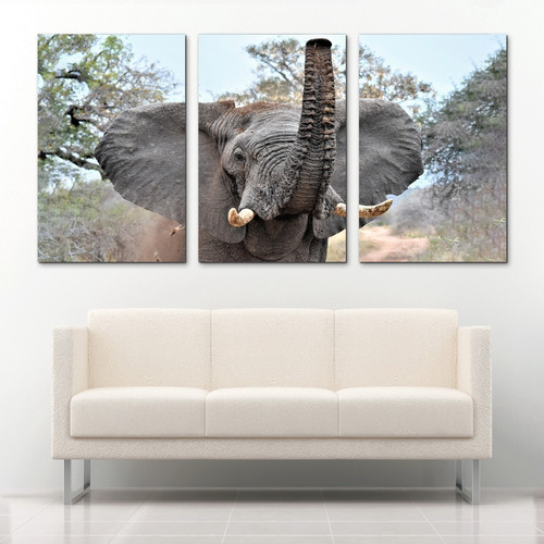 Cuadro Decorativo Elefante Gris Africano 3pz Moderno 168x86