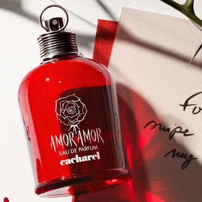 Amor Amor Edp 100 Ml | Envío gratis