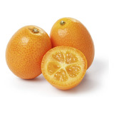 Kumquat Frutal Gratis A Rm No Envio A Regiones