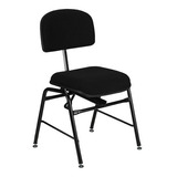 Silla Ergonomica Orquesta Resp-asto Regulable 46x52 Guil