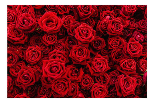 Painel Retangular Tecido Sublimado Floral Rosas 3,00x2,50