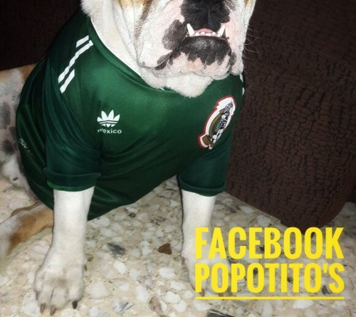 Playeras Deportivas Para Bulldogs Especiales Para Su Gordura