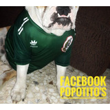 Playeras Deportivas Para Bulldogs Especiales Para Su Gordura