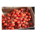 Tomate Cherry Rapunzel (20) Super Dulces Racimos De Sabor