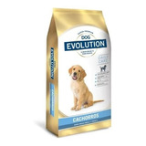 Dog Evolution Cachorro (15 Kg)