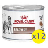 Alimento Royal Canin Veterinary Diet Recovery 145g X12