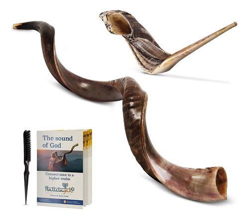 Halleluyah Shofar Yemenita De 47 -51  De Israel Plus Cuerno.