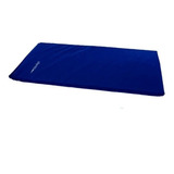 Colchonete Ginastica Grande Azul 100x60x3 Academia Exercicio