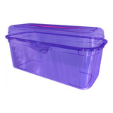 Pack 2 Caja Organizadora Maletin Plastico C/t Multiuso 2,5l