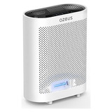 True Hepa Air Purifier H13 Filter| For Large Room, Offi...