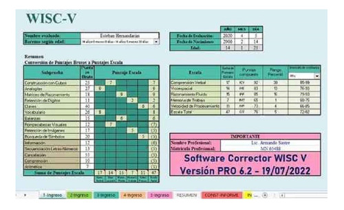 Test Batería Psicológica Wisc V  - Automatizado Con Informe