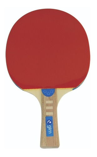 Raqueta Ping-pong 1 Estrella (rug) 090102-1plus