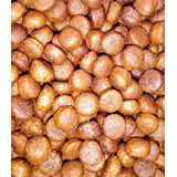 Croqueta Premium A Granel Nupet 25kg + Premios O Peluche Gts