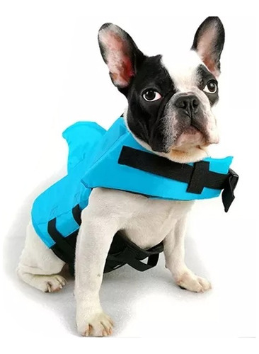 Colete Salva Vidas Tubarão Azul Pet Dog Cachorro Tamanho Pp