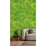 Adesivo De Parede 2.5mx40cm Decoração Casa Folhas F2