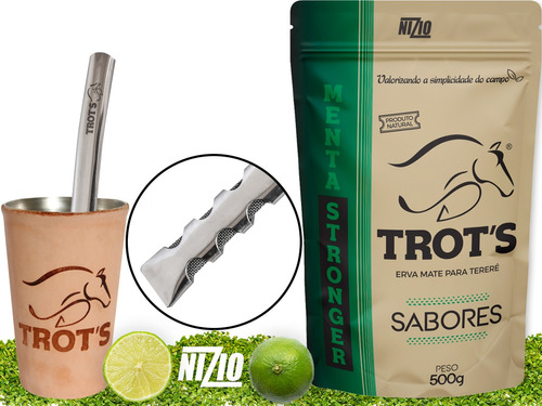 Kit Terere Copo Inox Couro Bomba Chata Erva Menta Stronger