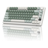 Rk Royal Kludge M75 Teclado Mecánico Inalámbrico Teclado Par