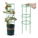 Soporte Plantas Enrredaderas Matas Rosas Orquideas Cultivo Color Verde