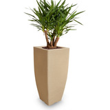 1 Vaso Plantas Solitario Grande Alto Forte Suspenso T 90x40