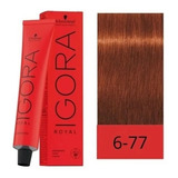 Tintura Igora Royal Tono 6.77 Schwarzkopf 60g Bp