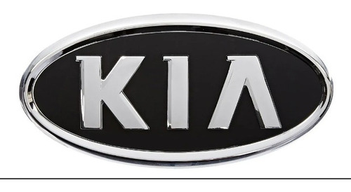 Amortiguadores Delanteros Kia Sedona 2002-2005 Foto 5