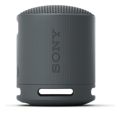 Caixa De Som Bluetooth Sony Srs-xb100, Preta