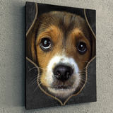 Cuadro De Perro Mascota Cachorro Beagle