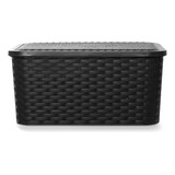 Canastos  Caja Organizadora Simil Rattan Grande Xl 