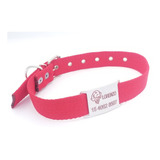 Chapita Pasador Para Golden Retriver + Collar Color Eleccion