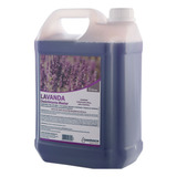 Desinfetante Master Lavanda 5l De Fácil Aplicação Diluído