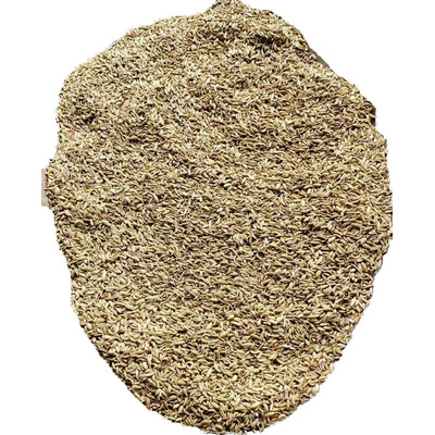 Semillas De Hinojo 1 Kilogramo | MercadoLibre