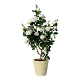 1 Árvore De Rosas Brancas Em Tecido Elegância P Decorar Sala