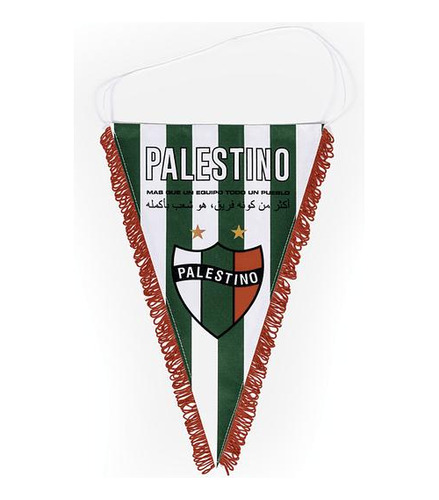 Banderin Palestino Insignia Oficial Reversible