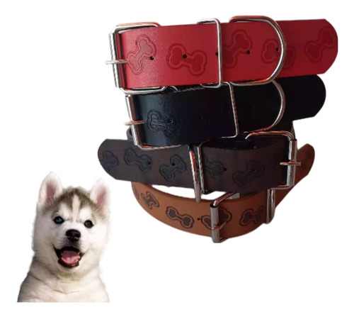 Collar De Cuero Perros Medianos O Grandes - Diseño Huellitas