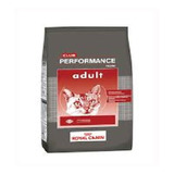 Royal Canin Performance Gato Adulto 7,5kg + Envios!!