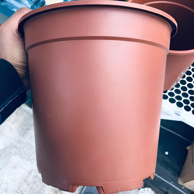 5 Maceta De 10 Pulgadas En Plástico Rígido Color Terracota Teku | Envío gratis