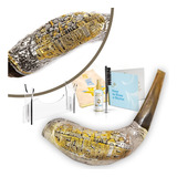 Holy Voice Ram Shofar De 12 A 14 Pulgadas Con Soporte Shofa.