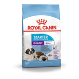 Royal Canin Giant Starter Madre Y Cachorro 10kg Envio Gratis