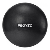 Pelota Yoga Esferodinamia Suiza 25 Pilates Cm Gym Ball Color Negro