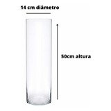 Vaso De Vidro Tubo Cilíndrico Transparente 14x50cm Arranjos