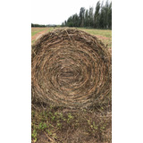 Rollos De Alfalfa Pura Y Rollos De Pasturas (trébol, Redgras